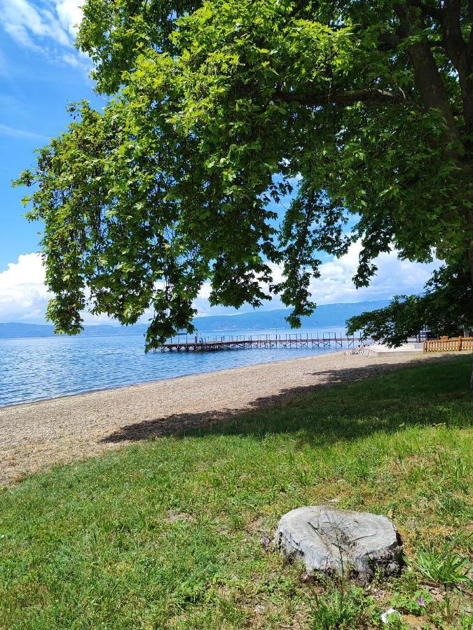 Villa Paradiso オフリド エクステリア 写真